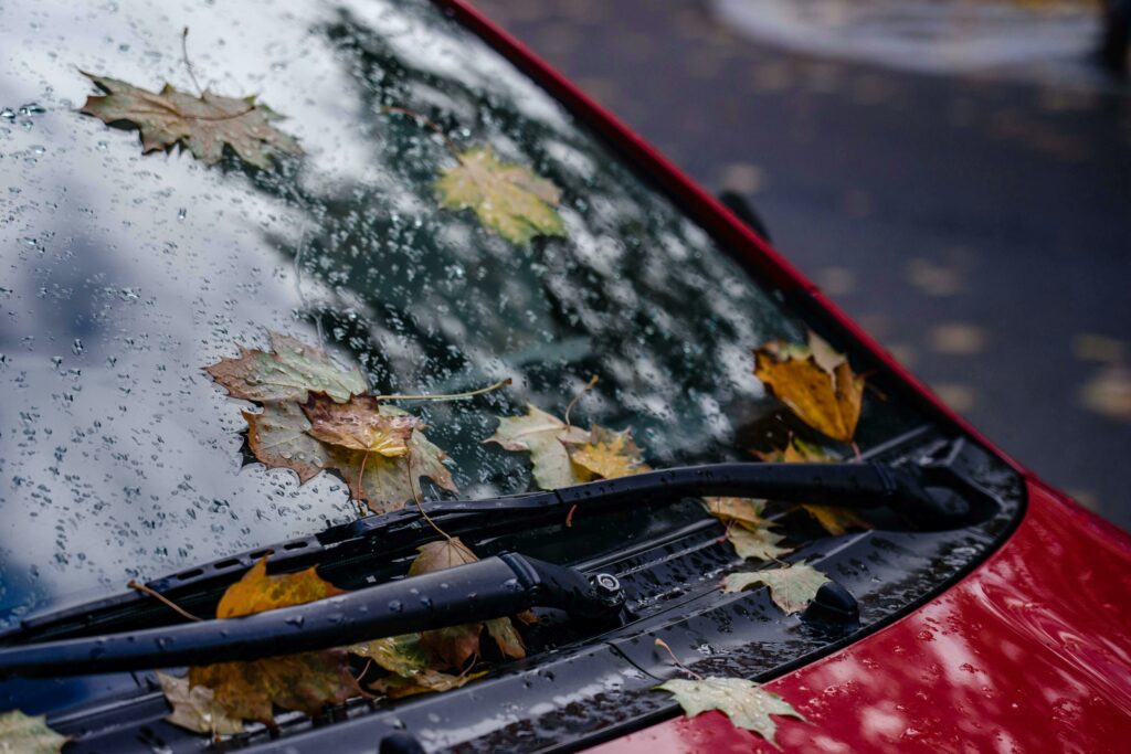 Differences of Wiper Blades Rubber vs Silicone