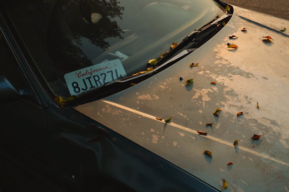 hybrid vs conventional wiper blades