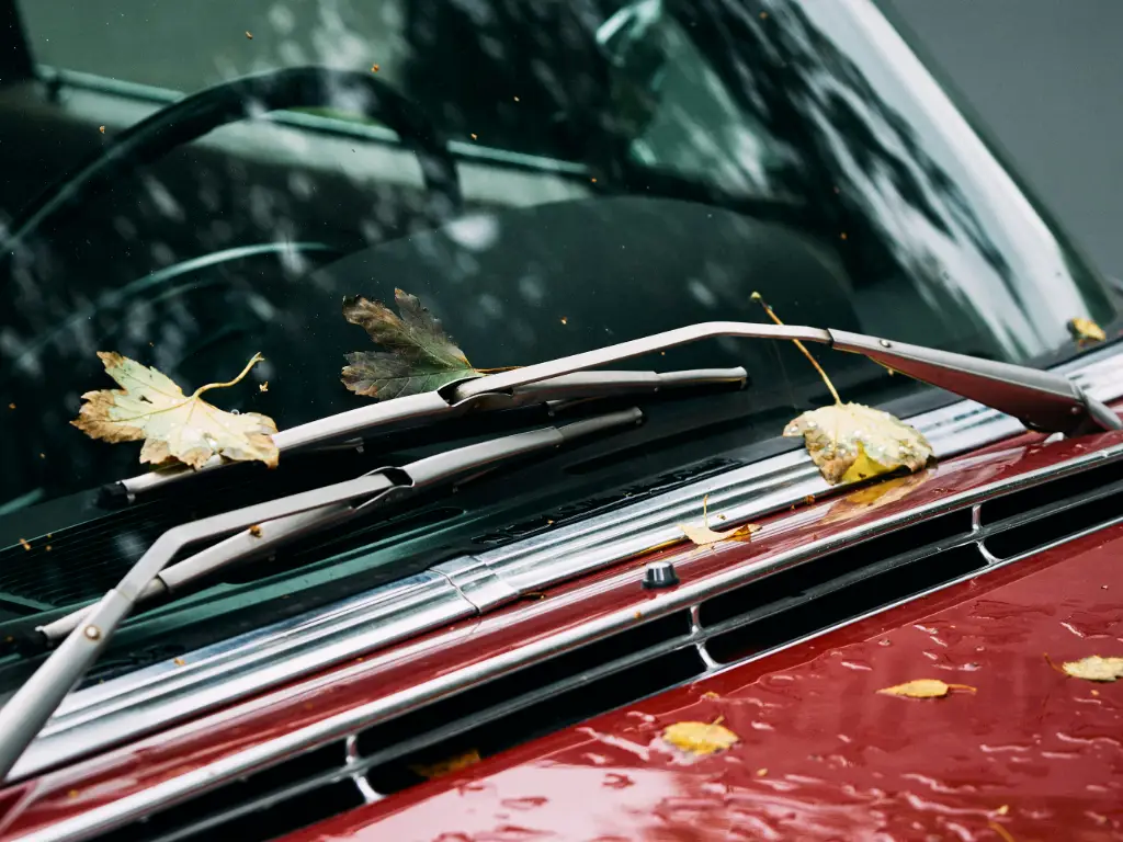 Are OEM Wiper Blades Better or Just More Expensive? Performance vs. Maliyet